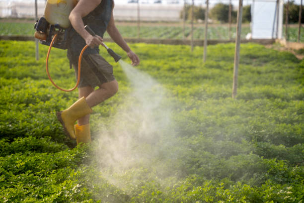 Best Best Pest Control Companies  in Muscoda, WI
