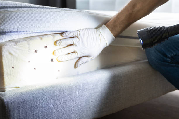 Best Pest Removal Services  in Muscoda, WI